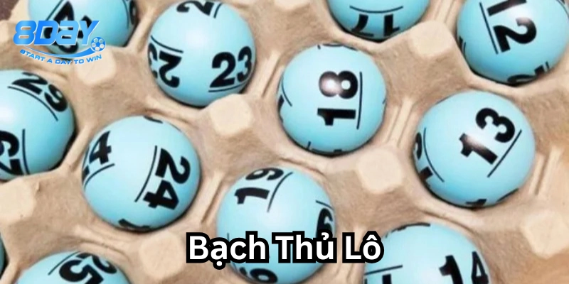 Bạch Thủ Lô chơi như thế nào? 