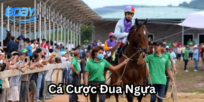 Bí quyết soi kèo Cá Cược Đua Ngựa