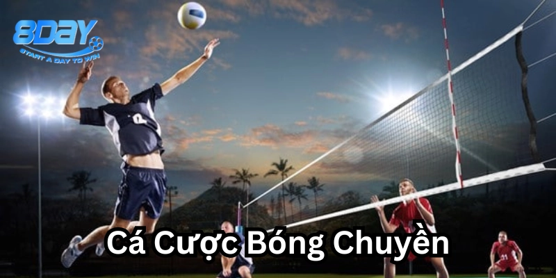 Cá Cược Bóng Chuyền là gì?