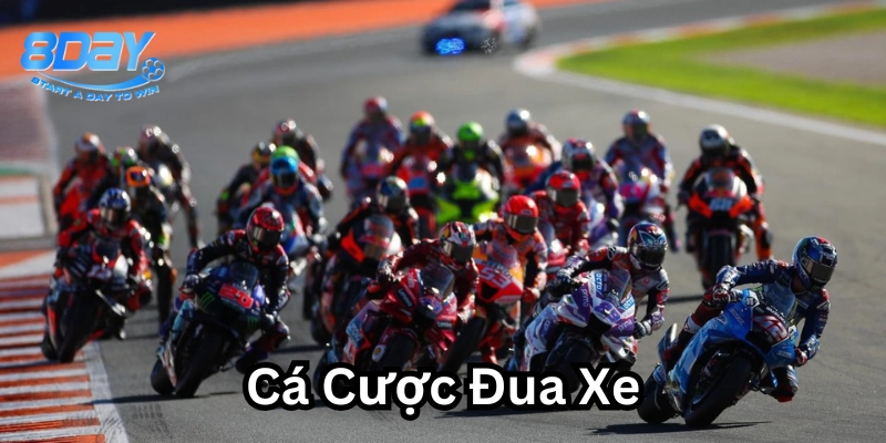Cá Cược Đua Xe MotoGP