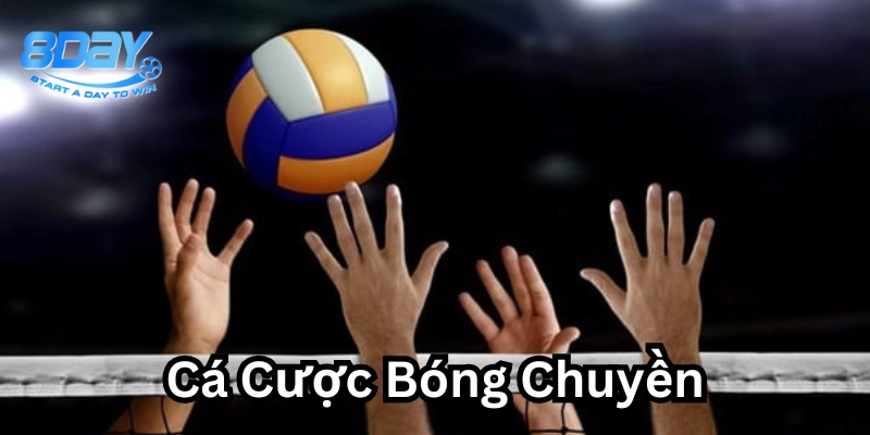 Các kèo Cá Cược Bóng Chuyền hiệu quả