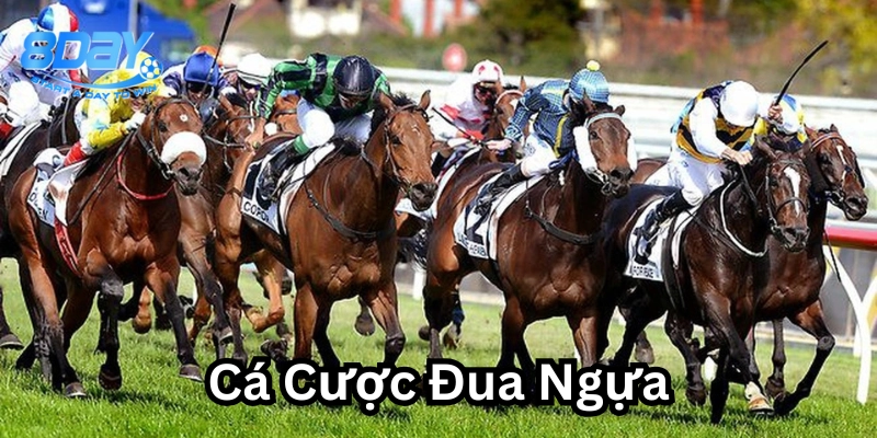 Cách đọc hiểu Cá Cược Đua Ngựa