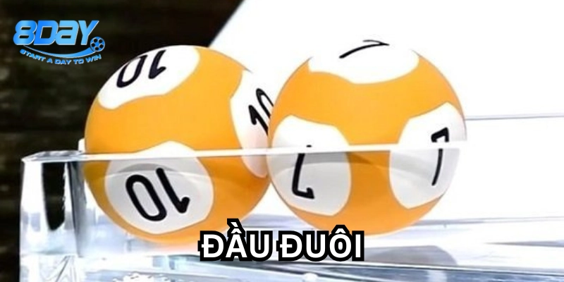 Đầu Đuôi có dễ chơi